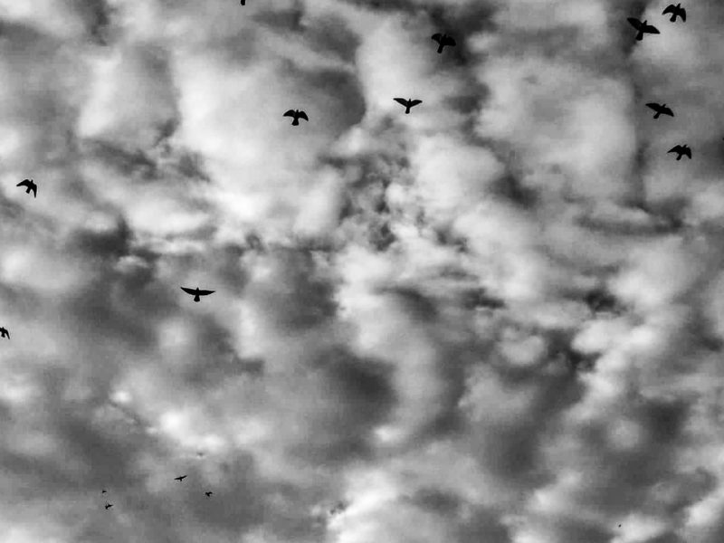the sky and the flying birds, Nafplion (2015)